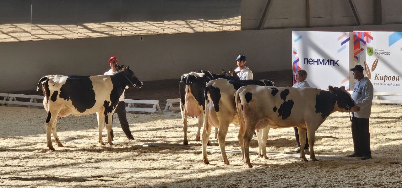 Ярко, продуктивно, информативно