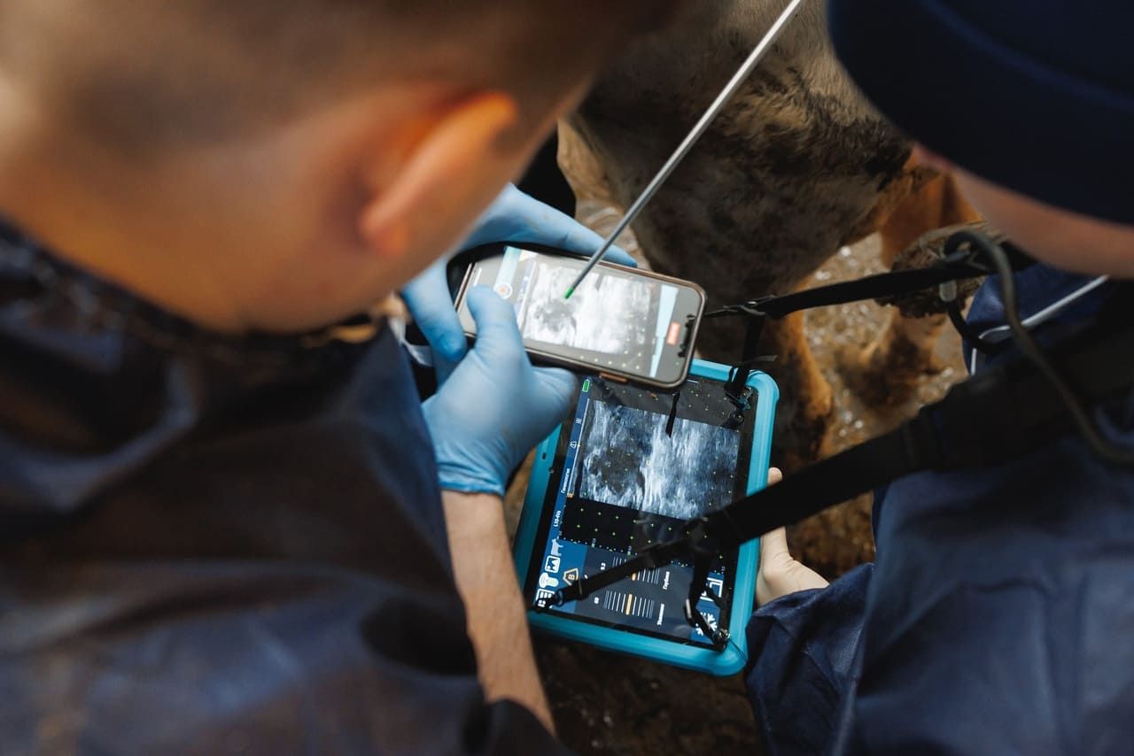 Фотоотчет курса