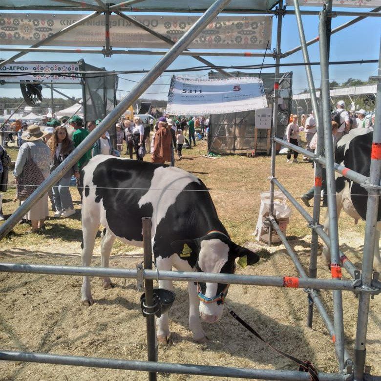 ЦЕНТРПЛЕМ на Молочном форуме в Новгороде