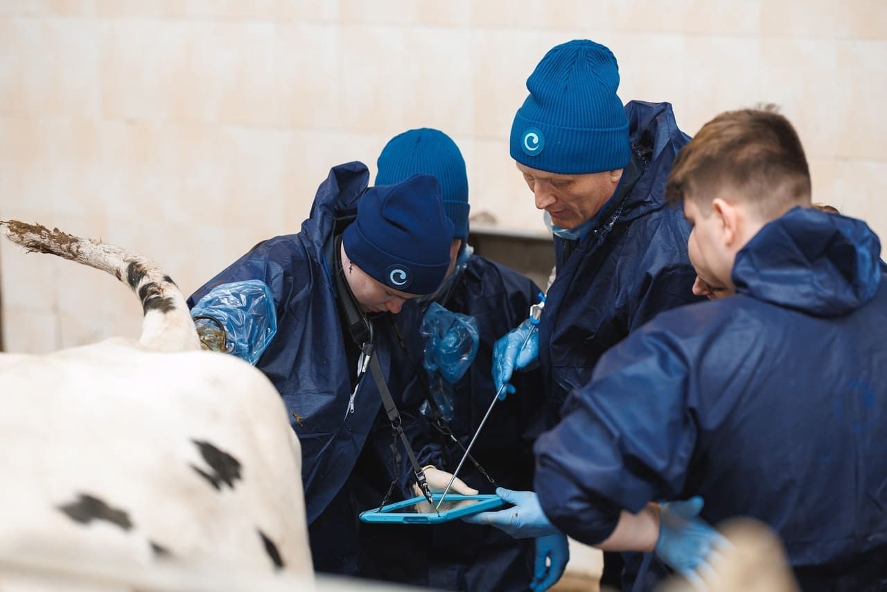 Фотоотчет курса