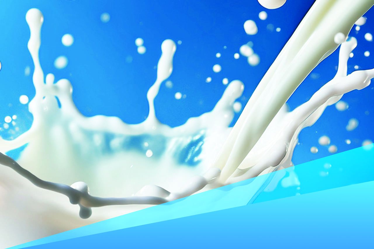 Сливочное масло подорожало — но есть ли у России шанс стать лидером молочной отрасли?