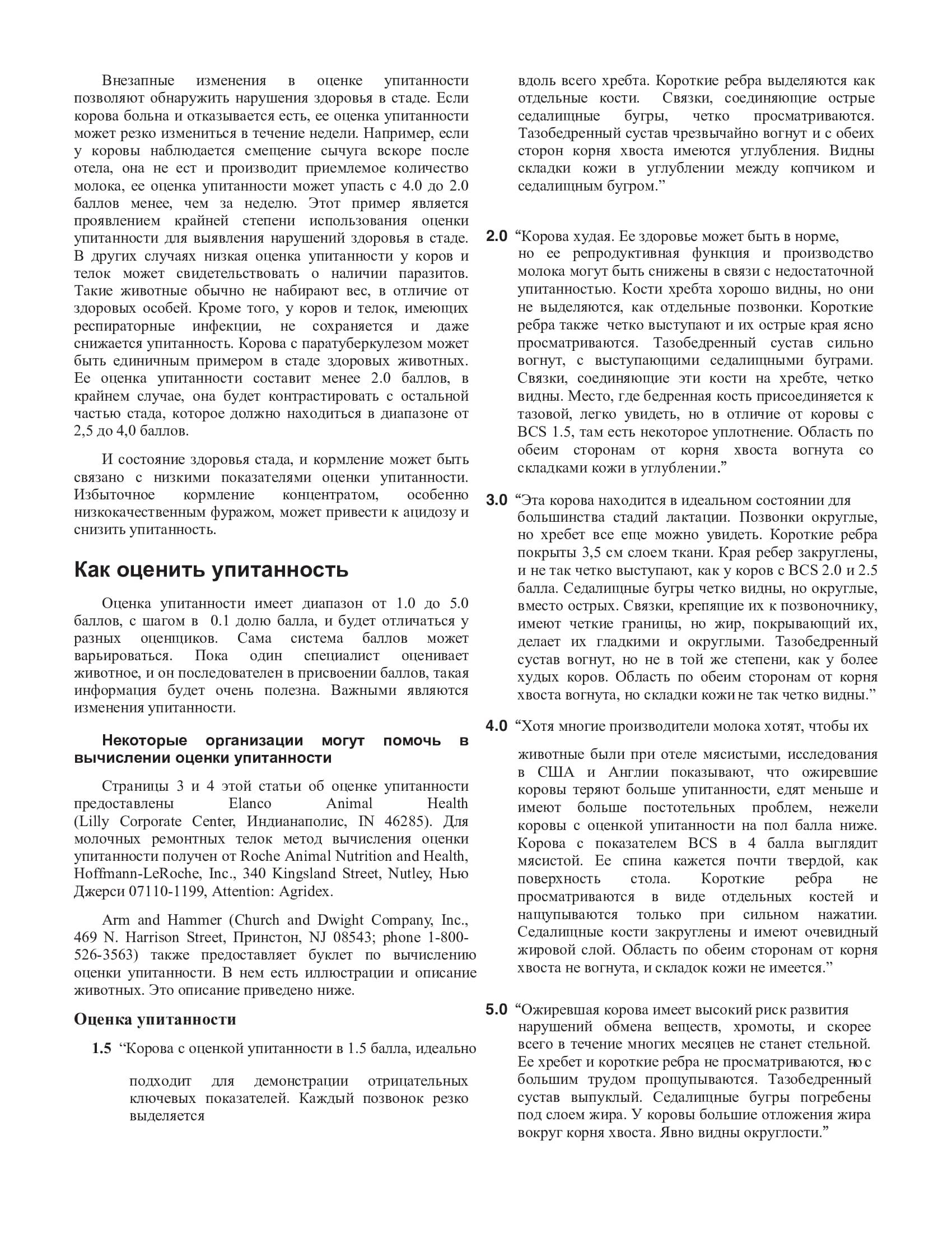 Упитанность молочного скота